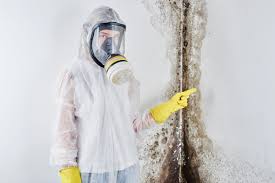 Biohazard Mold Removal in Dash Point, WA